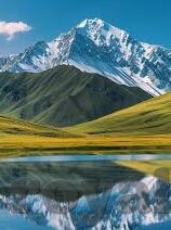 欢聚吃鸡炸金花挂-欢聚吃鸡炸金花挂，一场虚拟与现实的交织