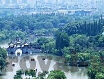 森林手机版电玩城下载舞会-探索森林手机版电玩城下载舞会的新奇体验